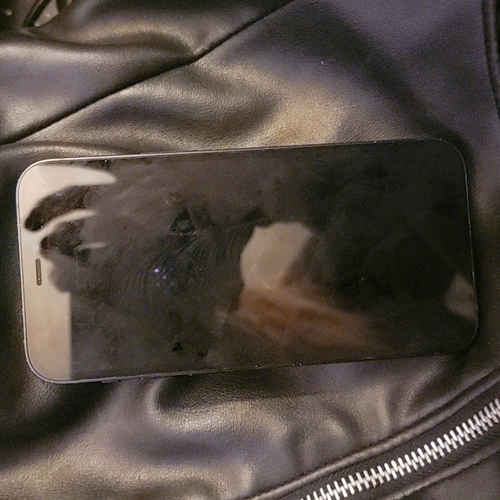 Iphone 12mini